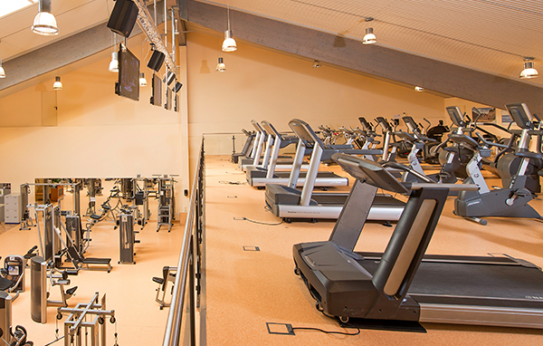 startseite_sport